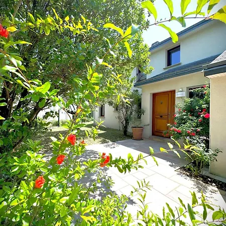 Villa La Céleste-villa Standing Avec Piscine Et Jardin *